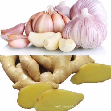 chinese fresh ginger and garlic